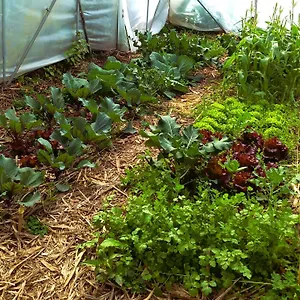https://permaculture-farm-stay.madeira-islandshotels.com